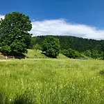 ホリデーパーク Glamping Savinja Ljubno