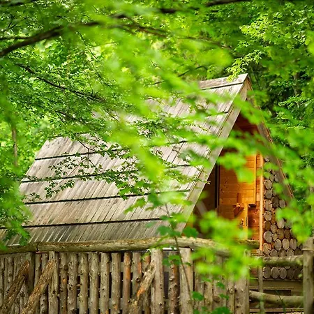 Prázdninový areál Glamping Savinja