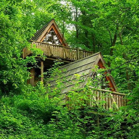 Prázdninový areál Glamping Savinja