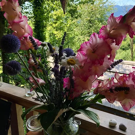 Glamping Savinja Ljubno