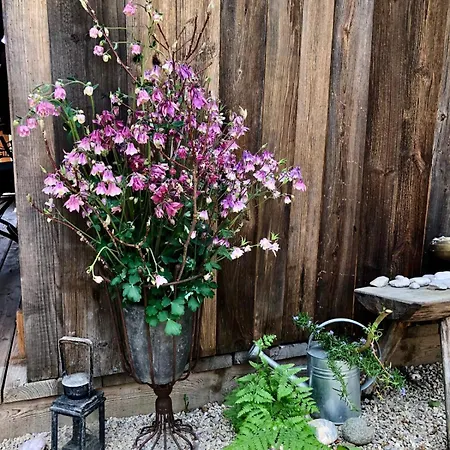 Prázdninový areál Glamping Savinja