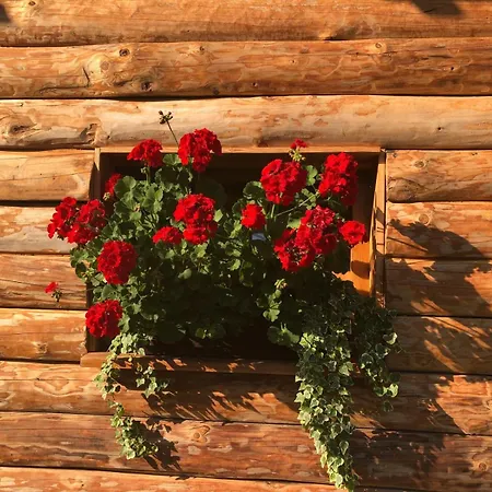 Glamping Savinja Ljubno