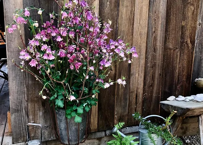 Vakantiepark Glamping Savinja