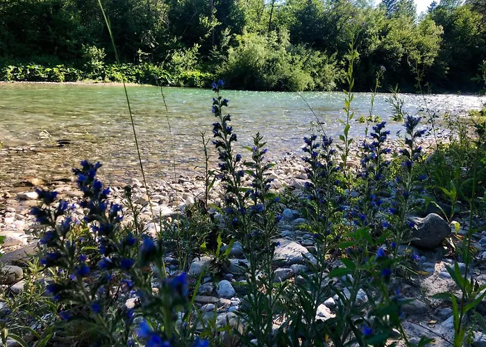 Glamping Savinja Počitniški park